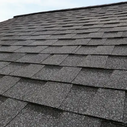 Roof Shingle